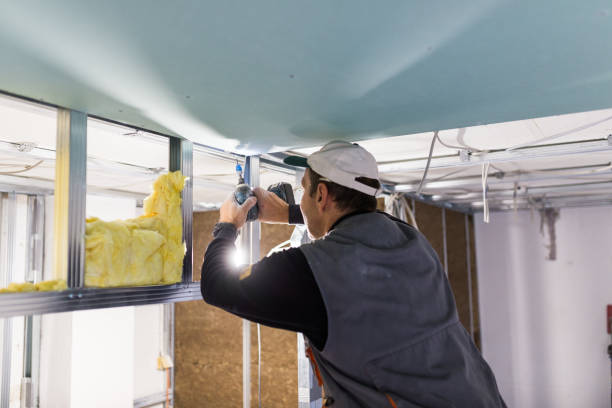 Best DIY Insulation Kits and Guidance in Footville, WI